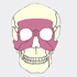 CMF Craniomaxillofacial System